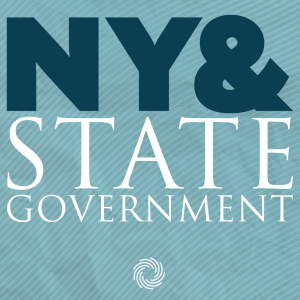 How Does State Government Actually Work? | NY& State Government