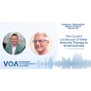 Veterinary Osteoarthritis Alliance Podcast Episode 40 - Intraarticular medications with Greg McGarrell