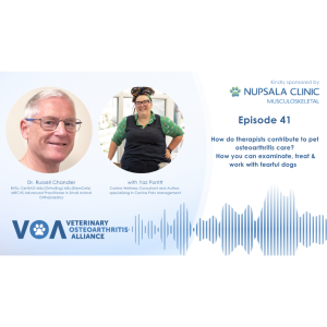 Veterinary Osteoarthritis Alliance Podcast Episode 41 - Massage therapy for dogs with Yaz Porritt