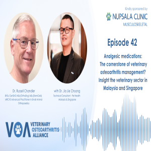 Veterinary Osteoarthritis Alliance Podcast Episode 42 - Interview with Dr. Jia Jie Choong