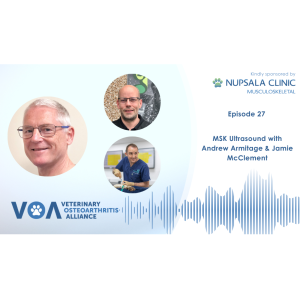 Veterinary Osteoarthritis Alliance Podcast Episode 27 - MSK Ultrasound with Andrew Armitage & Jamie McClement