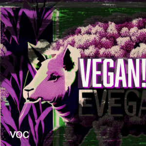 Vegan! with Sky | 3-21-23