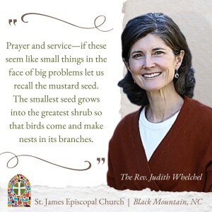 SERMON  |  July 30: Responding to Division: Acts of Prayer & Acts of Service
