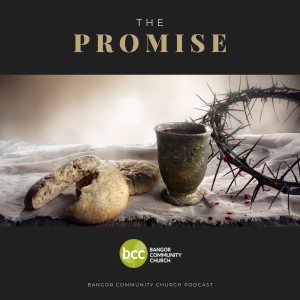 Robin Savage - The Promise - Sunday 20th December 2020