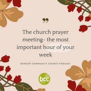 Carol Savage - The church prayer meeting, the most important hour of your week - Sunday 4th July 2021