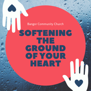 Jonathan Nabi - Softening the ground of your Heart - Sunday 3rd November