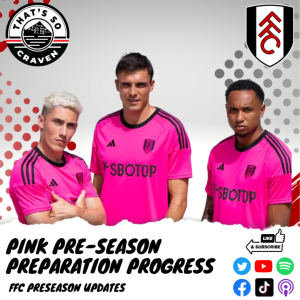 Pink Pre-Season Preparation Progress