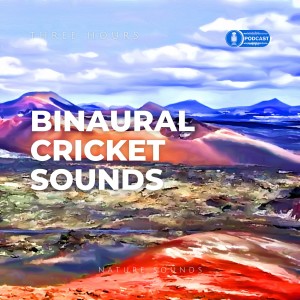 Enjoy the Silence (3 hours Binaural Cricket Sounds)
