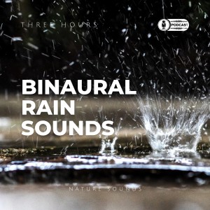 listen to the RAINDROPS (3 hours BINAURAL rain and bird sounds)