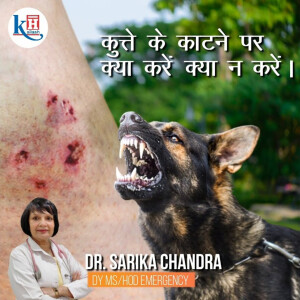 कुत्ते के काटने के बाद क्या करें: डॉ. सारिका चंद्रा की सलाह