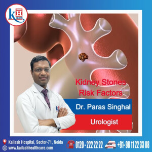 Part 1: Get the Expert Advice on Kidney Stone Risk Factors from Urologists at Kailash Hospital, Sec 71 Noida