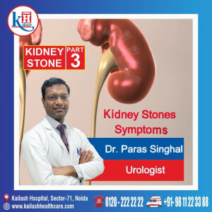 Part 3: Kidney Stone Symptoms: When to Seek Emergency Care, Explains Urologist Kailash Hospital, Sector 71