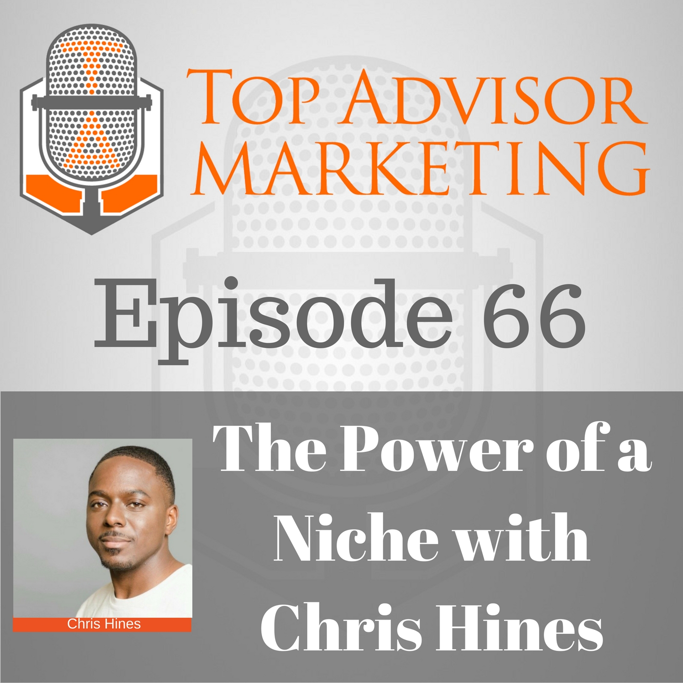 Episode 66 - The Power of a Niche