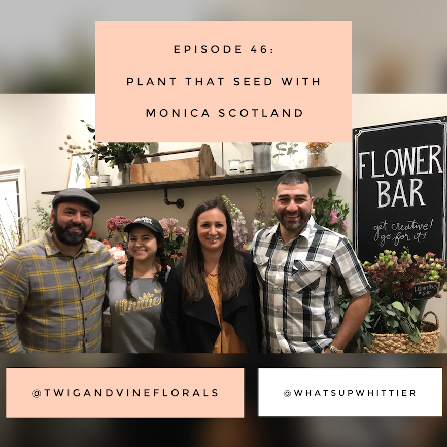 EPISODE 46: PLANT THAT SEED with Monica Scotland