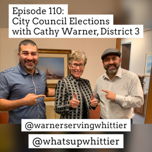 EPISODE 110: City Council Elections with Cathy Warner, District 3