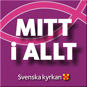 #15 MR-special 5. Om att vara volontär.