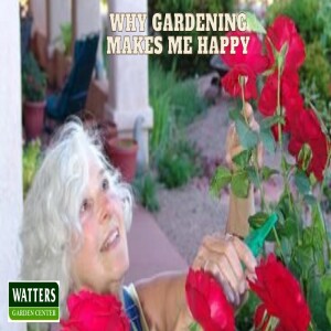 Why Gardening Makes Me Happy