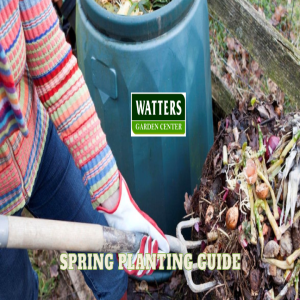 Awaken Your Garden: Spring Planting Guide