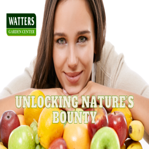🍎 Unlocking Nature’s Bounty - Grow Perfect Fruit Trees