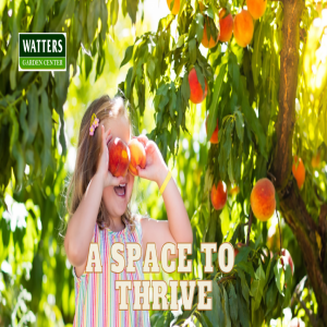 🍒 Space to Thrive - Guidelines for Planting Fruit Trees