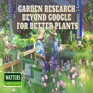 🌱Garden Research Beyond a Google Search for Better Plants🌱