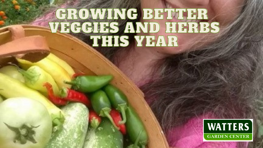 🥕Growing Better Veggies and Herbs this Year