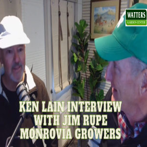 Interview with Jim Rupe from Monrovia Growers