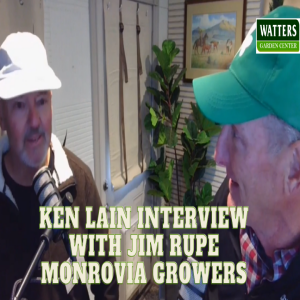 🎥Interview with Jim Rupe from Monrovia Nursery