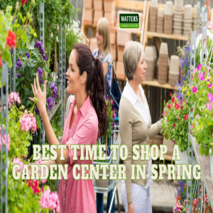 🌹Best Time to Shop a Garden Center in Spring 🌹