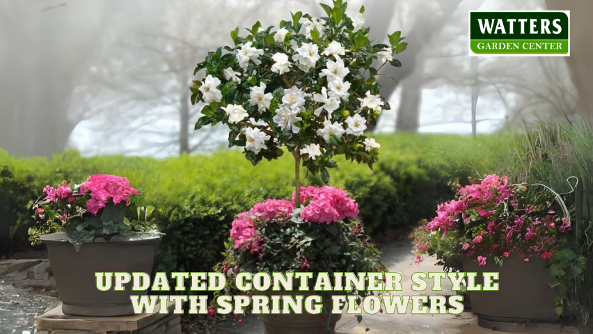 🌺Updated Container Style with Spring Flowers 🌺