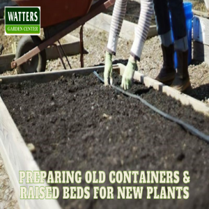 🌺Preparing Old Containers & Raised Beds for New Flowers Plants 🌺