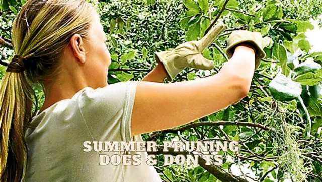 ✂️ Summer Pruning - Does and Don’ts ✂️