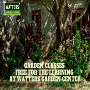 🌳Garden Classes Free for the Learning at Watters Garden Center 🌳