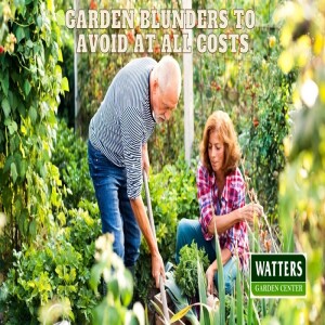 🎙️Welcome to 'The Top 10 Gardener Podcast' with Ken and Lisa Lain! 🎙️