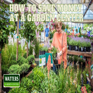 💲How to Save Money at a Garden Center💲