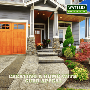 🏡 Creating a Home with Curb Appeal🏡