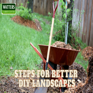 🌾8 1/2 Steps for Better DIY Landscapes