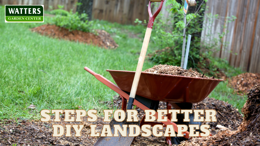 🎙️Welcome to Episode 25 – 03 of The Top 10 Gardener Podcast' with Ken and Lisa Lain!