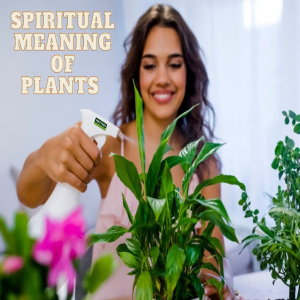 🌼The Spiritual Meaning of Houseplants🌼