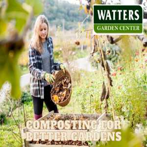 Composting for Better Gardens