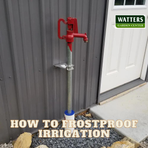 ❄️How to Frostproof Irrigation and the Well House❄️