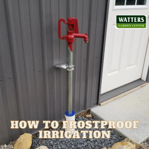 How to Frostproof Irrigation