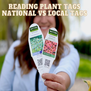 Reading Plant Tags National vs Local Tags