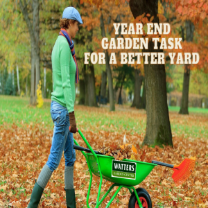 🏡Top 10 Year-End Garden Tasks for a Better Yard 🏡