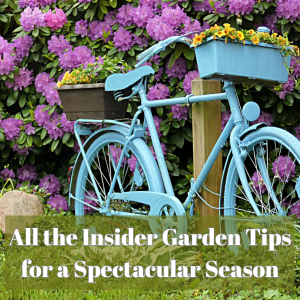 🎙️Welcome to Episode 25 – 19 of The Mountain Gardener Podcast with Ken and Lisa Lain!