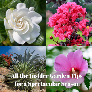 🎙️Welcome to Episode 25 – 21 of The Mountain Gardener Podcast with Ken and Lisa Lain!