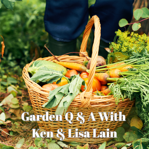 🌻Garden Q & A With Ken & Lisa Lain, the Mountain Gardeners