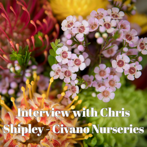 🎥 Interview With Chris Shipley, Civano Nurseries