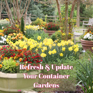 🪴Updated Container Style with Spring Flowers