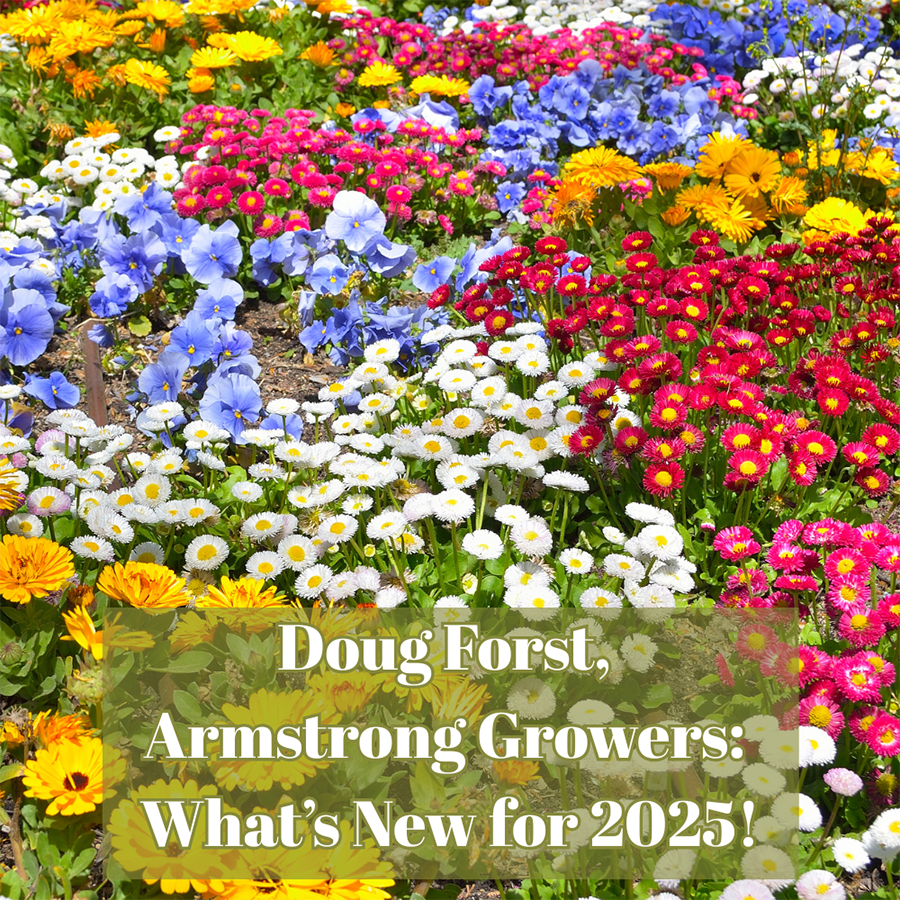 🎥An Interview with Douglas Forst from Armstrong Growers